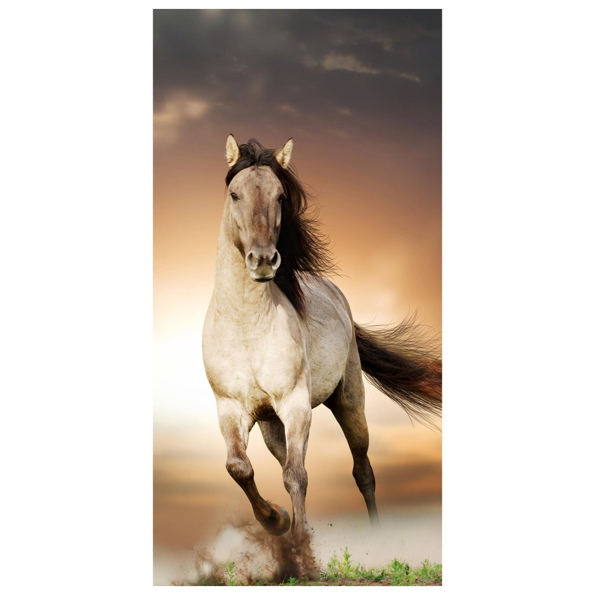 Türtapete Pferd rennt über Wiese, Schimmel, Weiß M1158 - Bild 2