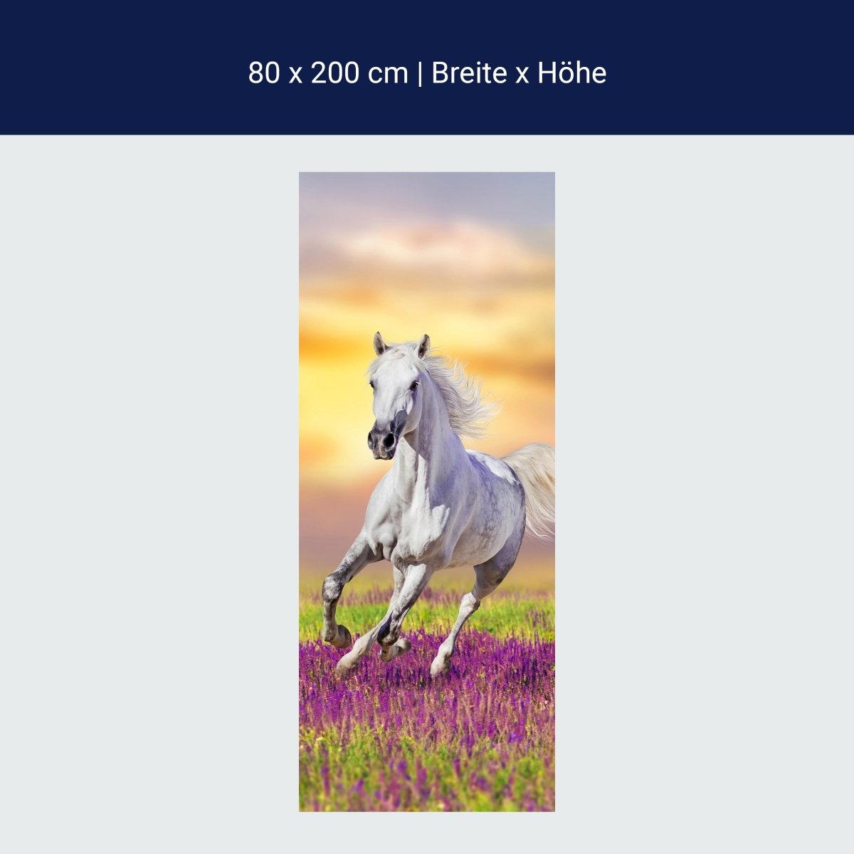 Wall mural White horse gallops over flower meadow M1166