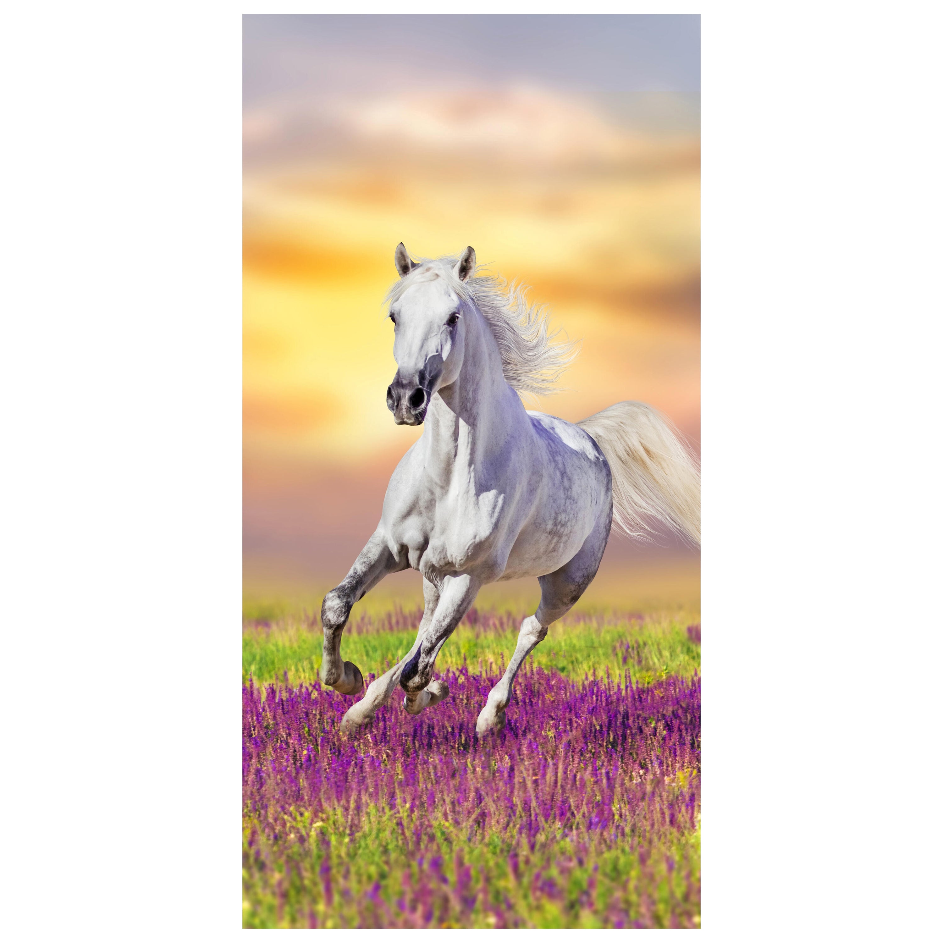 Türtapete Weißes Pferd galoppiert über Blumenwiese M1166 - Bild 2