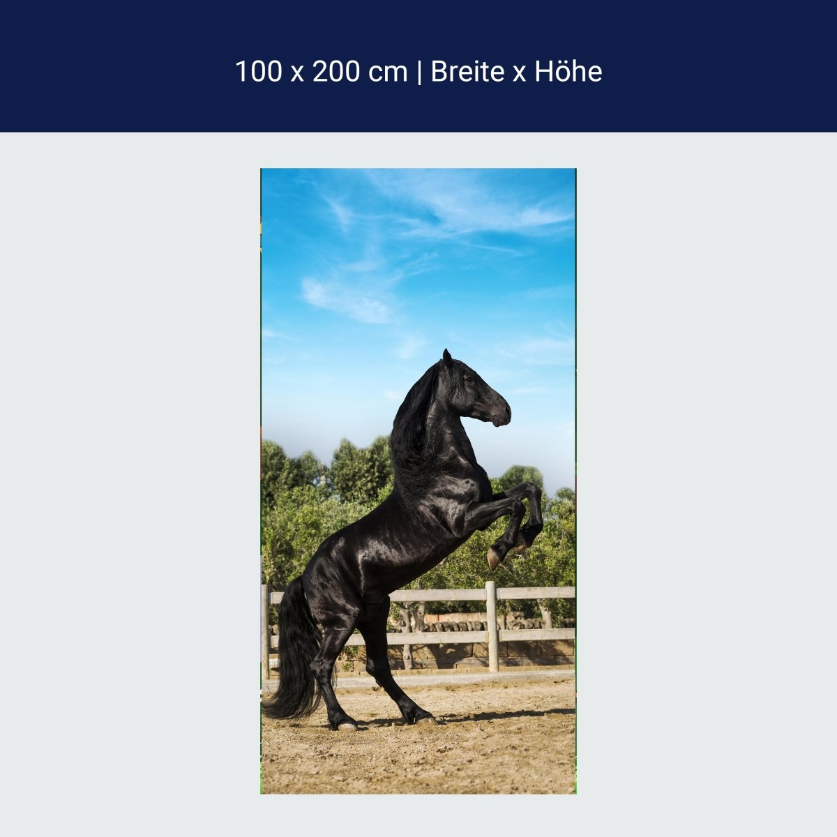 Türtapete Schwarzer Pferd steht auf Hinterbeinen M1167