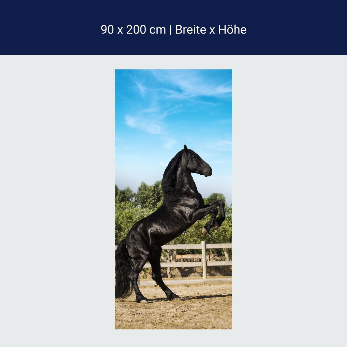 Türtapete Schwarzer Pferd steht auf Hinterbeinen M1167