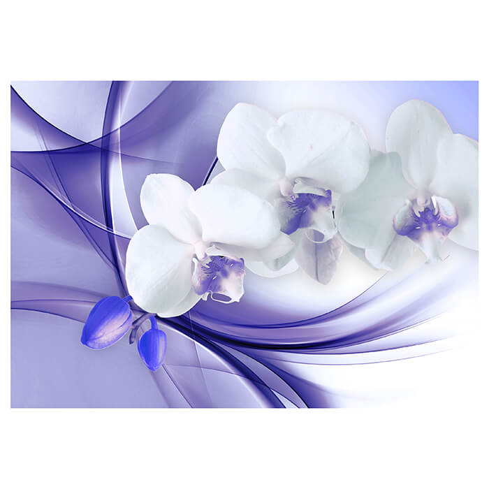 Fototapete lila Orchidee M1168 - Bild 2