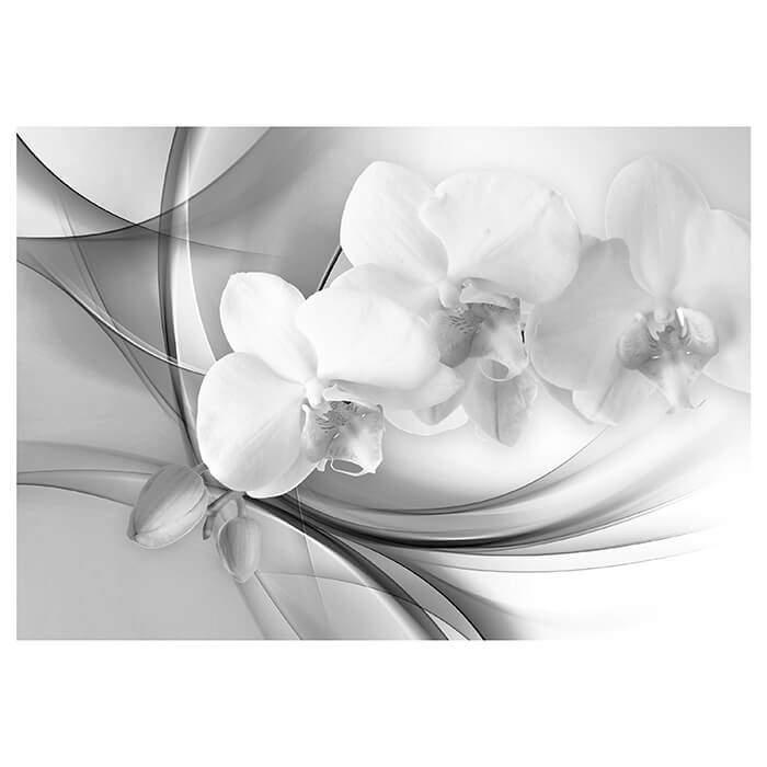 Fototapete graue Orchidee M1169 - Bild 2