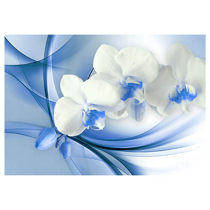 Fototapete blaue Orchidee M1171 - Bild 2