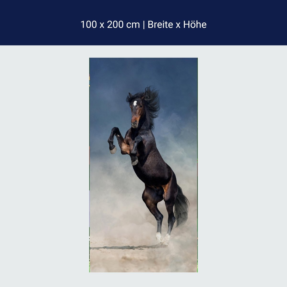 Türtapete Pferd im Sand, Schwarz, Braun, Staub M1172