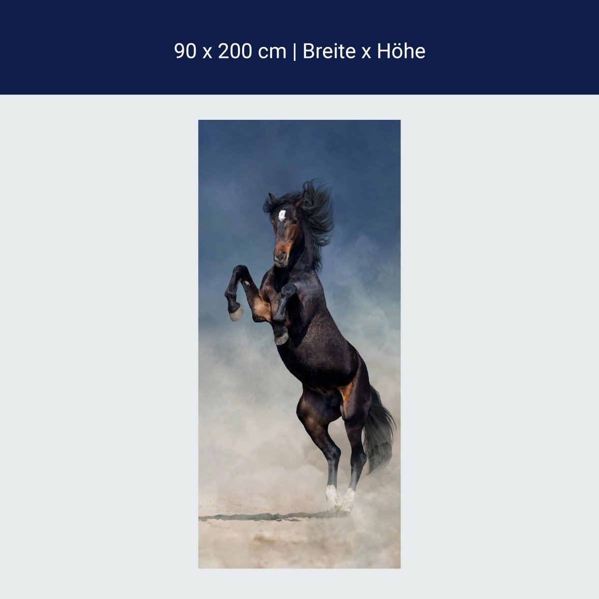 Türtapete Pferd im Sand, Schwarz, Braun, Staub M1172