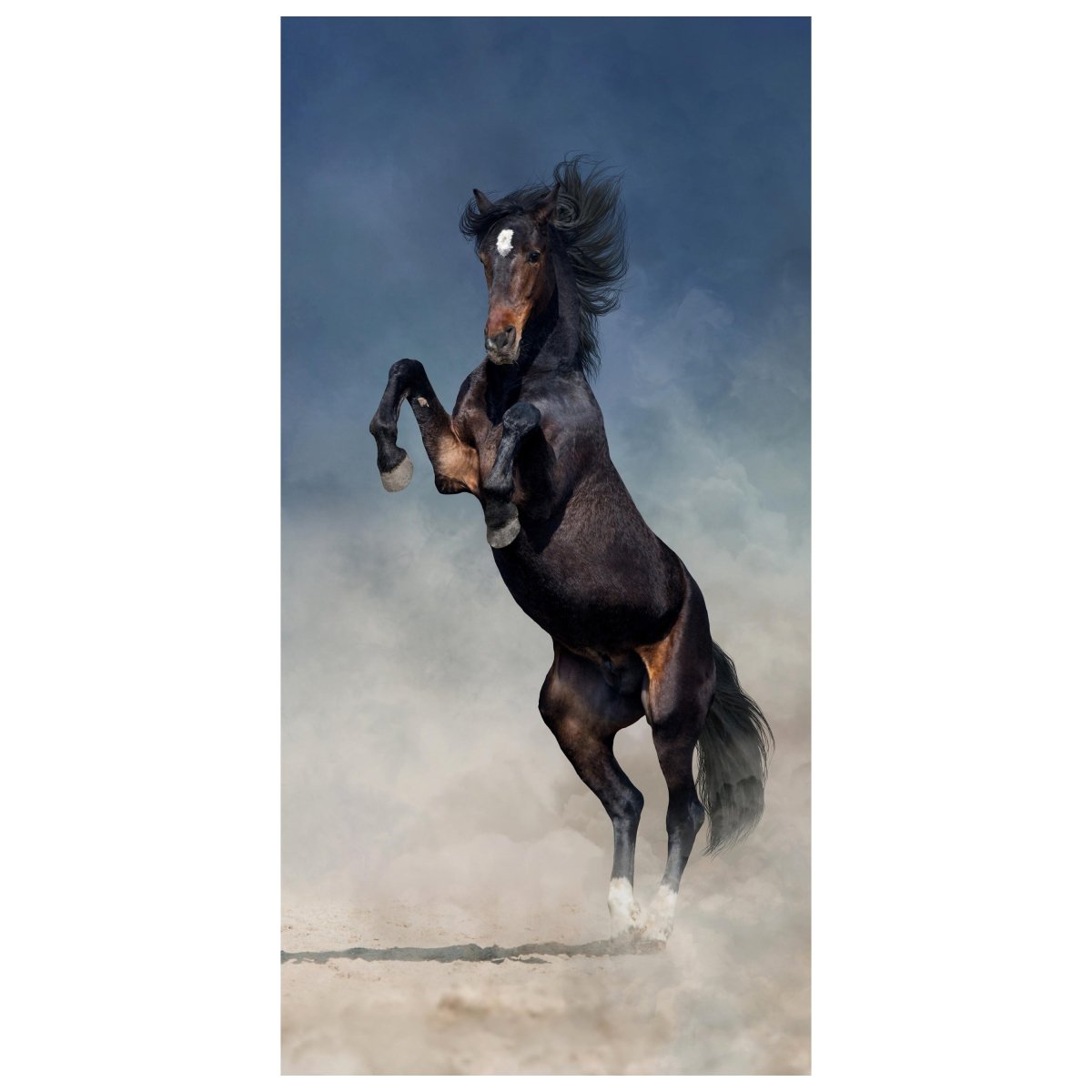 Türtapete Pferd im Sand, Schwarz, Braun, Staub M1172 - Bild 2