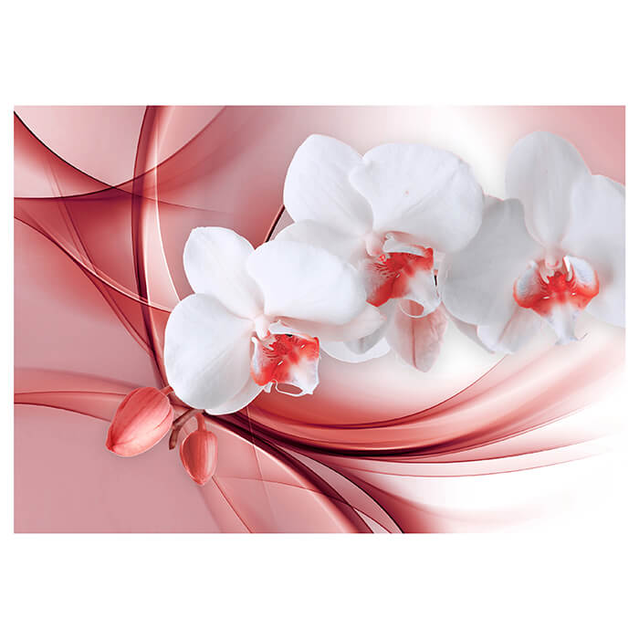Fototapete Rote Orchidee M1173 - Bild 2