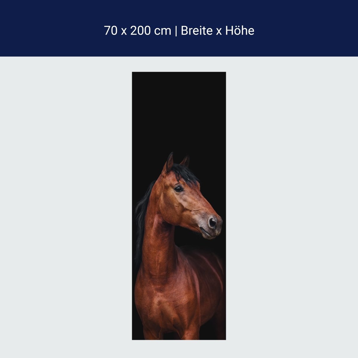 Türtapete braunes Pferd vor schwarzem Hintergrund M1173