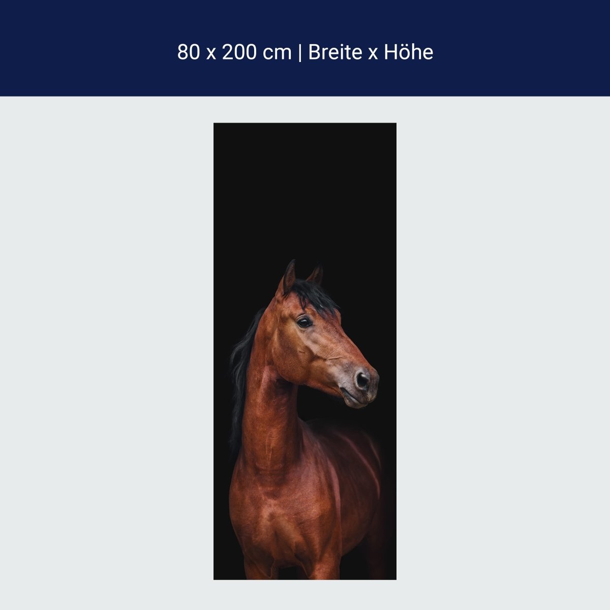 Türtapete braunes Pferd vor schwarzem Hintergrund M1173