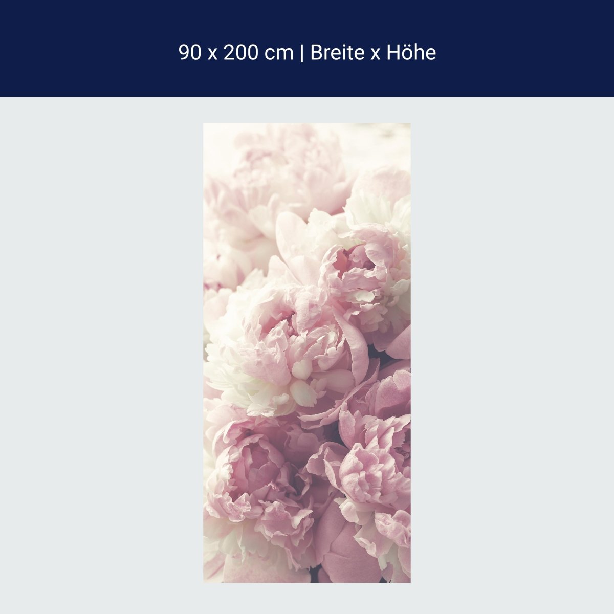 Türtapete Duftrosen Rosa Weiß, Rose, Blumen M1225