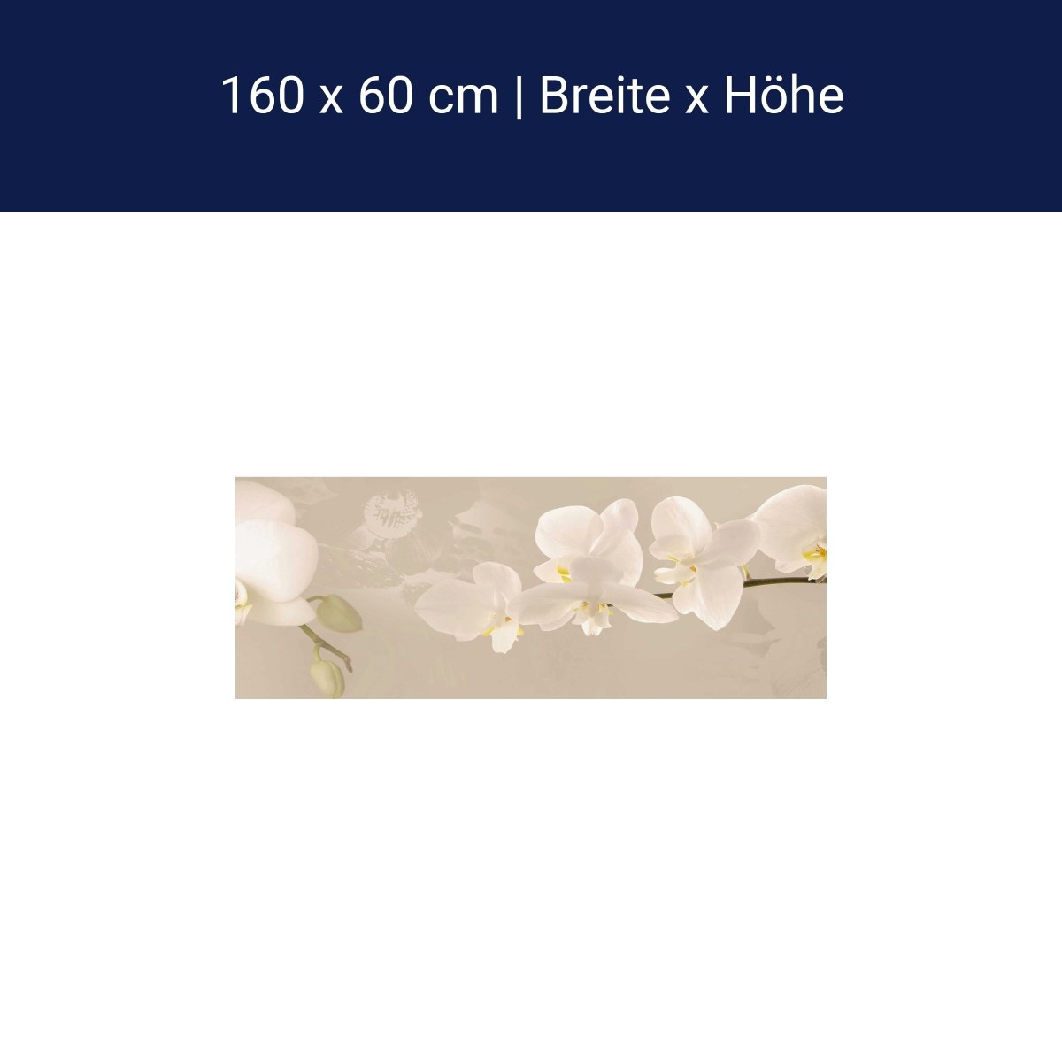 Küchenrückwand Orchidee Zweig Hell Hintergrund Weiß M1226
