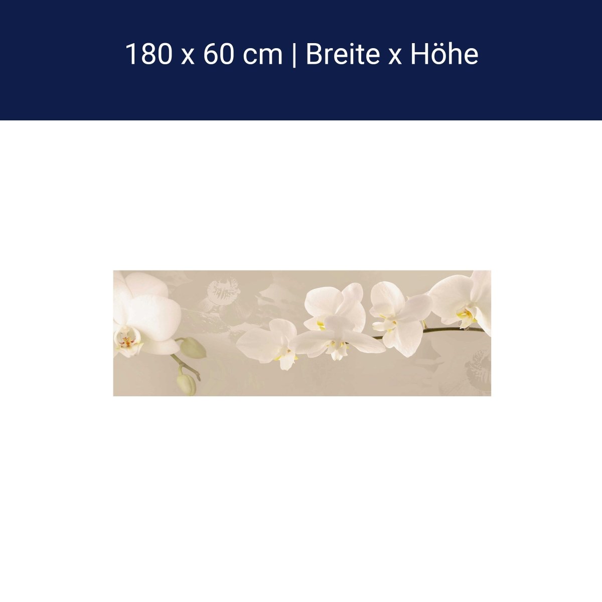 Crédence Orchidée Branche Fond Clair Blanc M1226