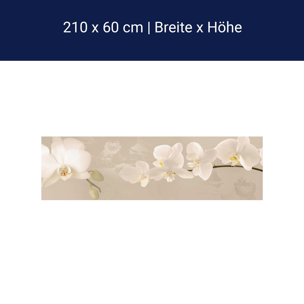 Küchenrückwand Orchidee Zweig Hell Hintergrund Weiß M1226