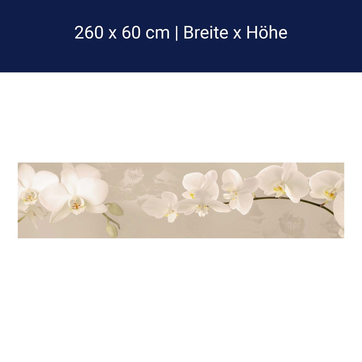 Küchenrückwand Orchidee Zweig Hell Hintergrund Weiß M1226