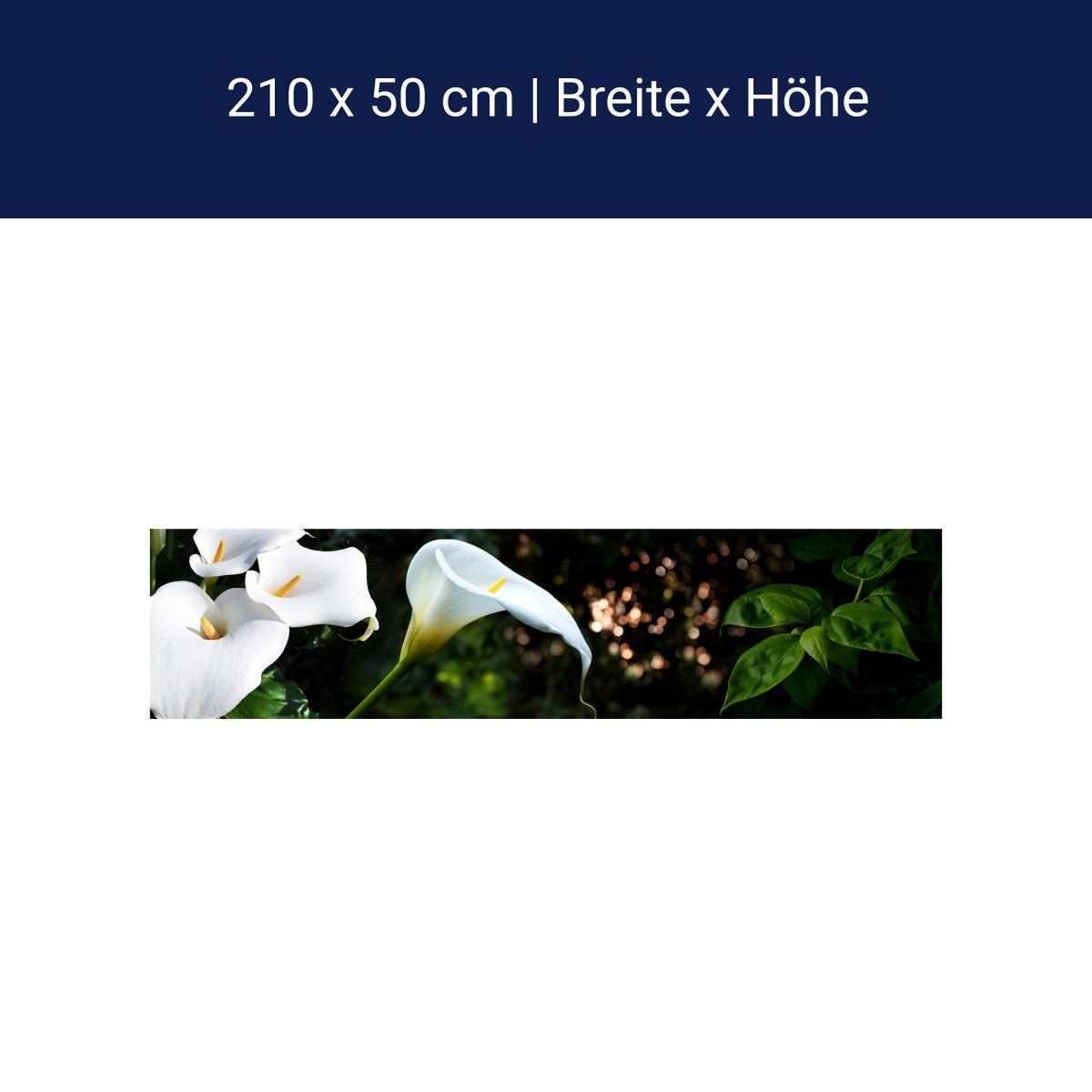 Crédence Calla Blanc Feuillage Vert Forêt Jungle Lotus M1239