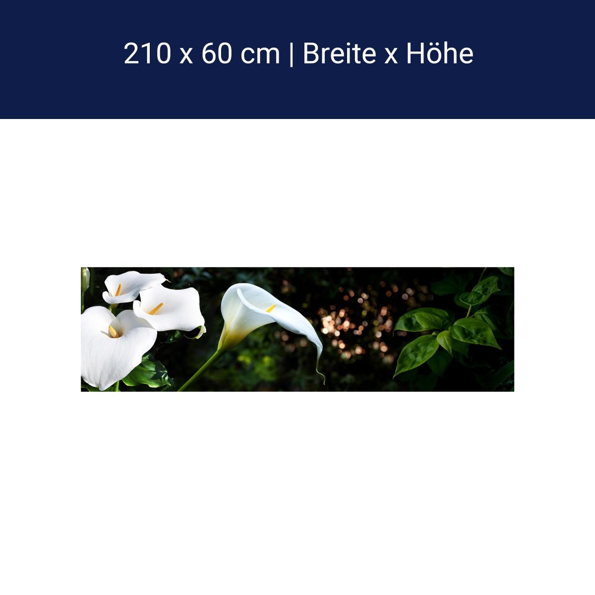 Küchenrückwand Calla Weiß grün Laub Wald Urwald Lotus M1239