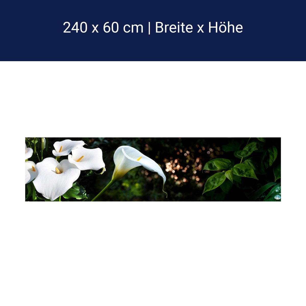 Küchenrückwand Calla Weiß grün Laub Wald Urwald Lotus M1239