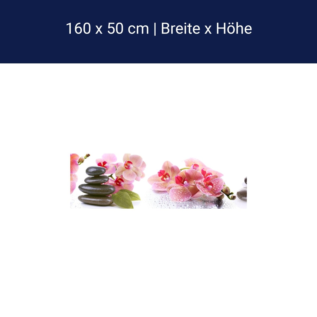 Küchenrückwand Orchidee Blätter Steine Wasser M1280