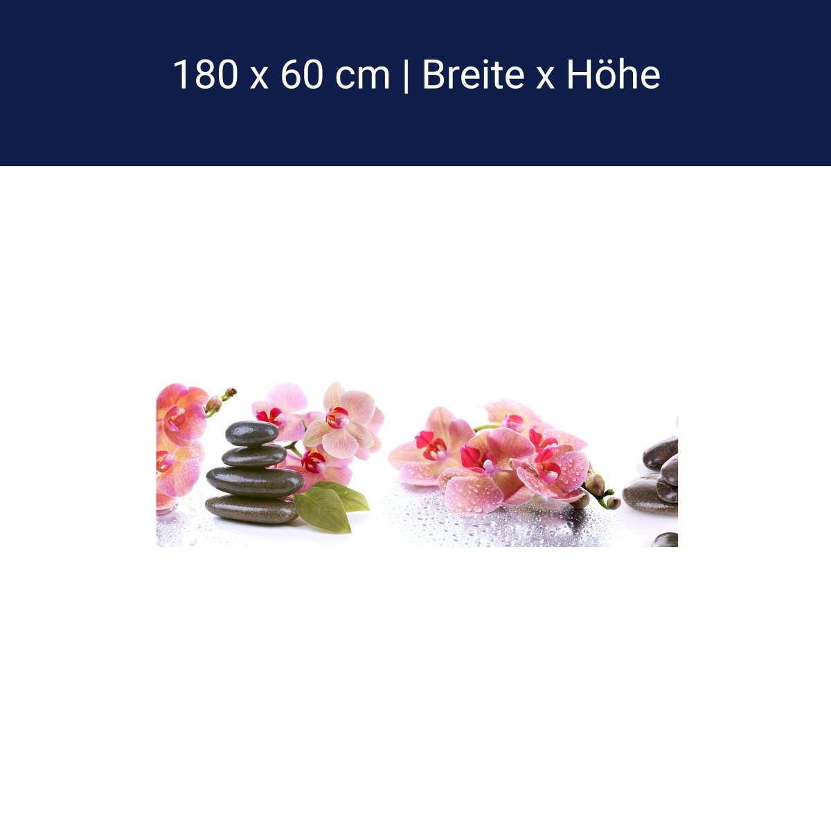 Küchenrückwand Orchidee Blätter Steine Wasser M1280