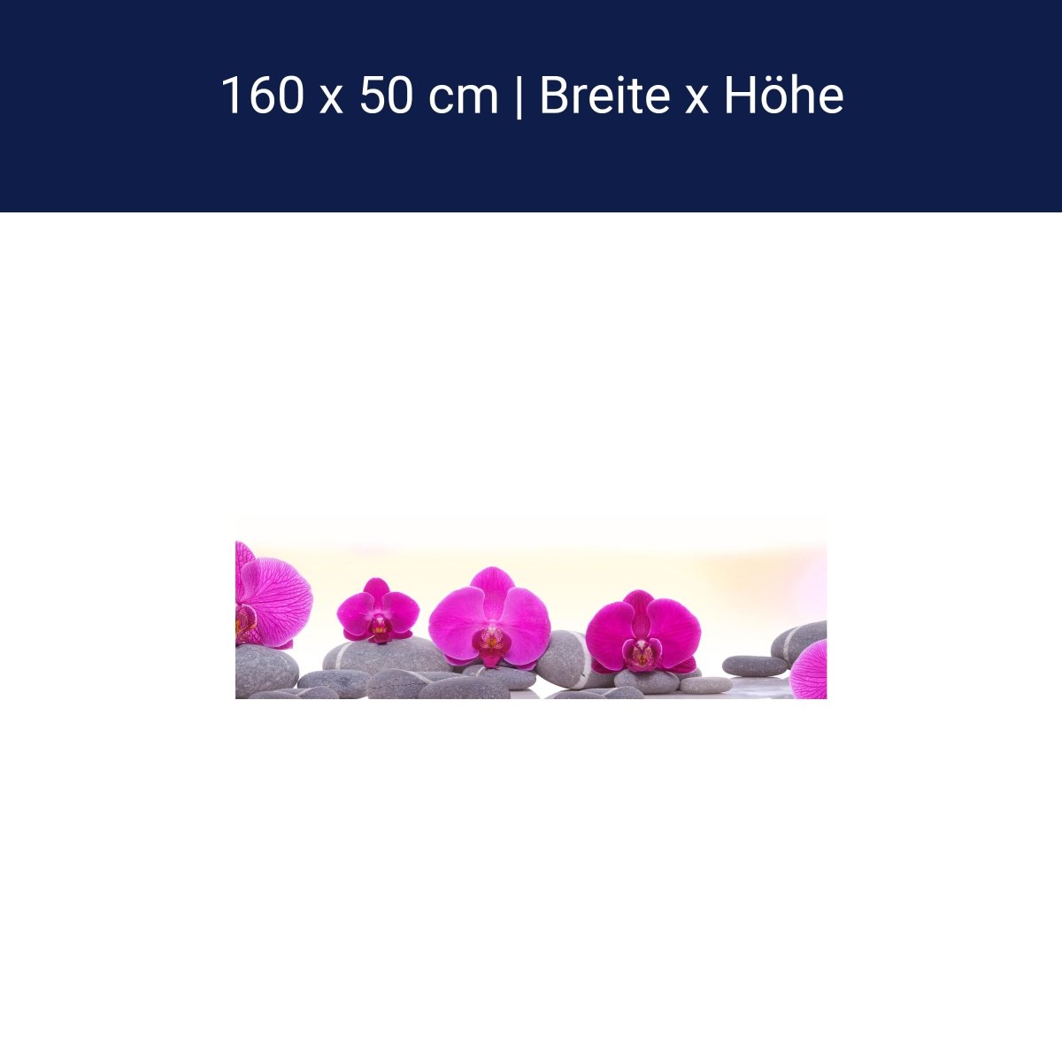 Küchenrückwand Orchidee Steine Blätter rosa M1285