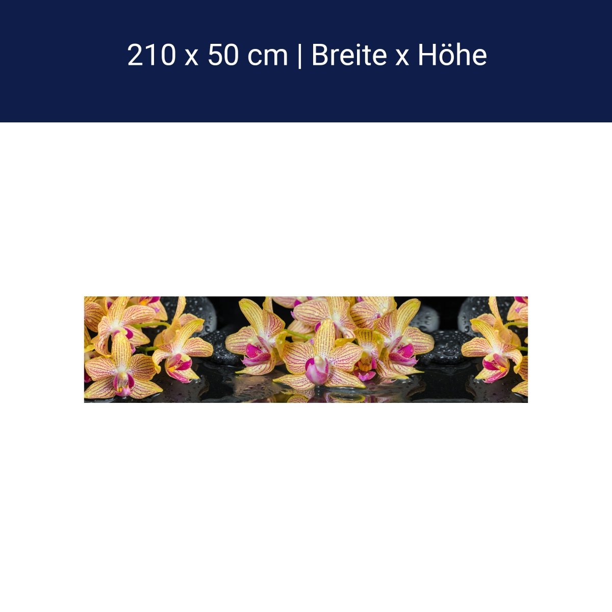 Küchenrückwand Orchidee Steine Wasser M1286