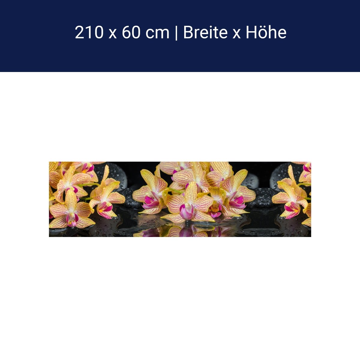 Küchenrückwand Orchidee Steine Wasser M1286