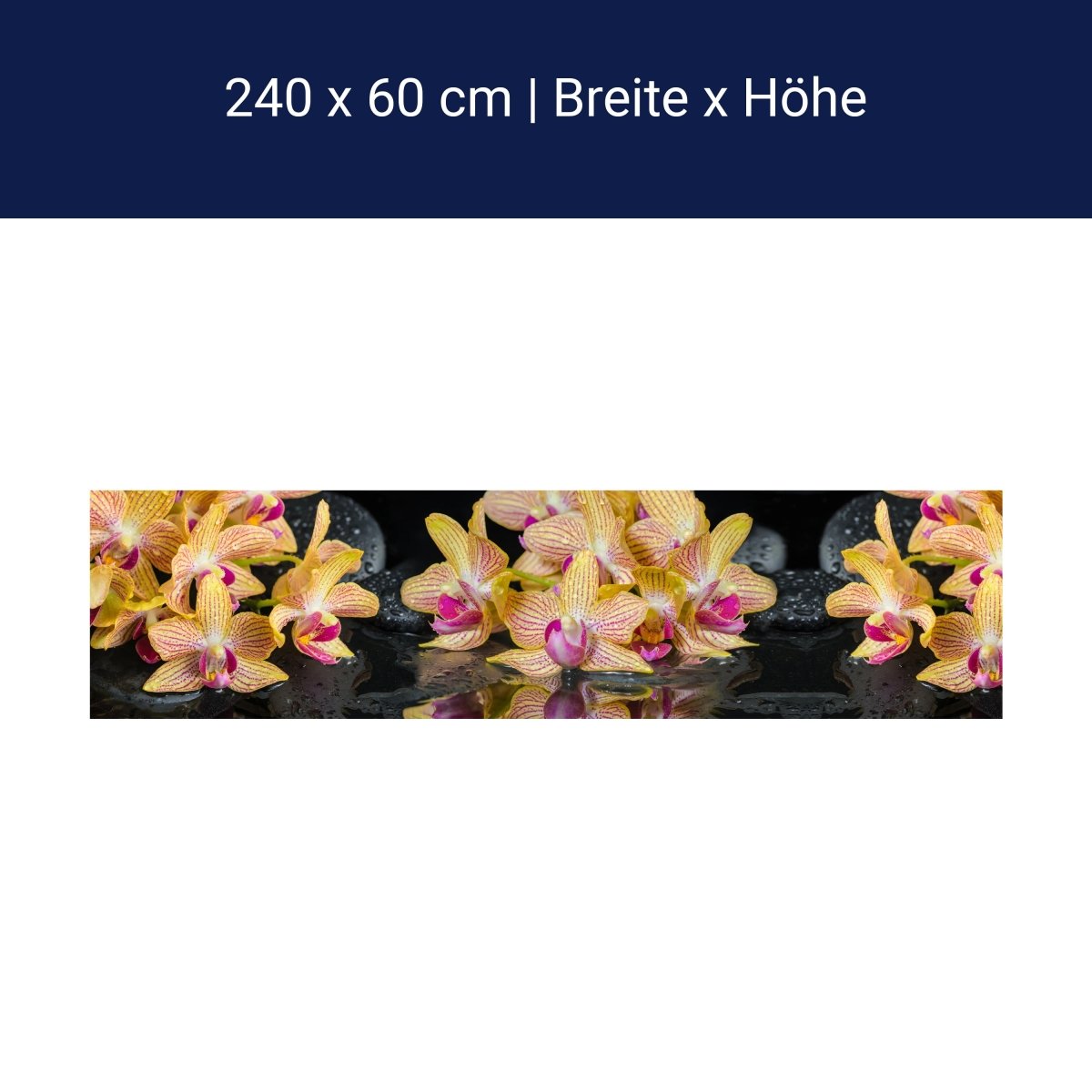 Crédence de cuisine orchidée pierres eau M1286