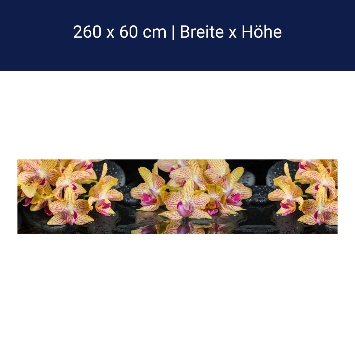 Crédence de cuisine orchidée pierres eau M1286