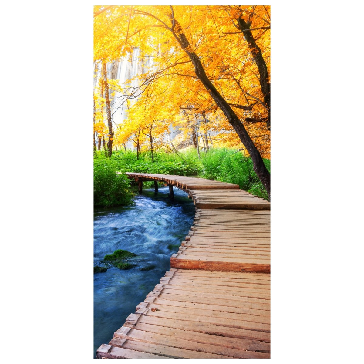Türtapete Holz Steg über Bach, Wald, Herbst, Bäume M1287 - Bild 2
