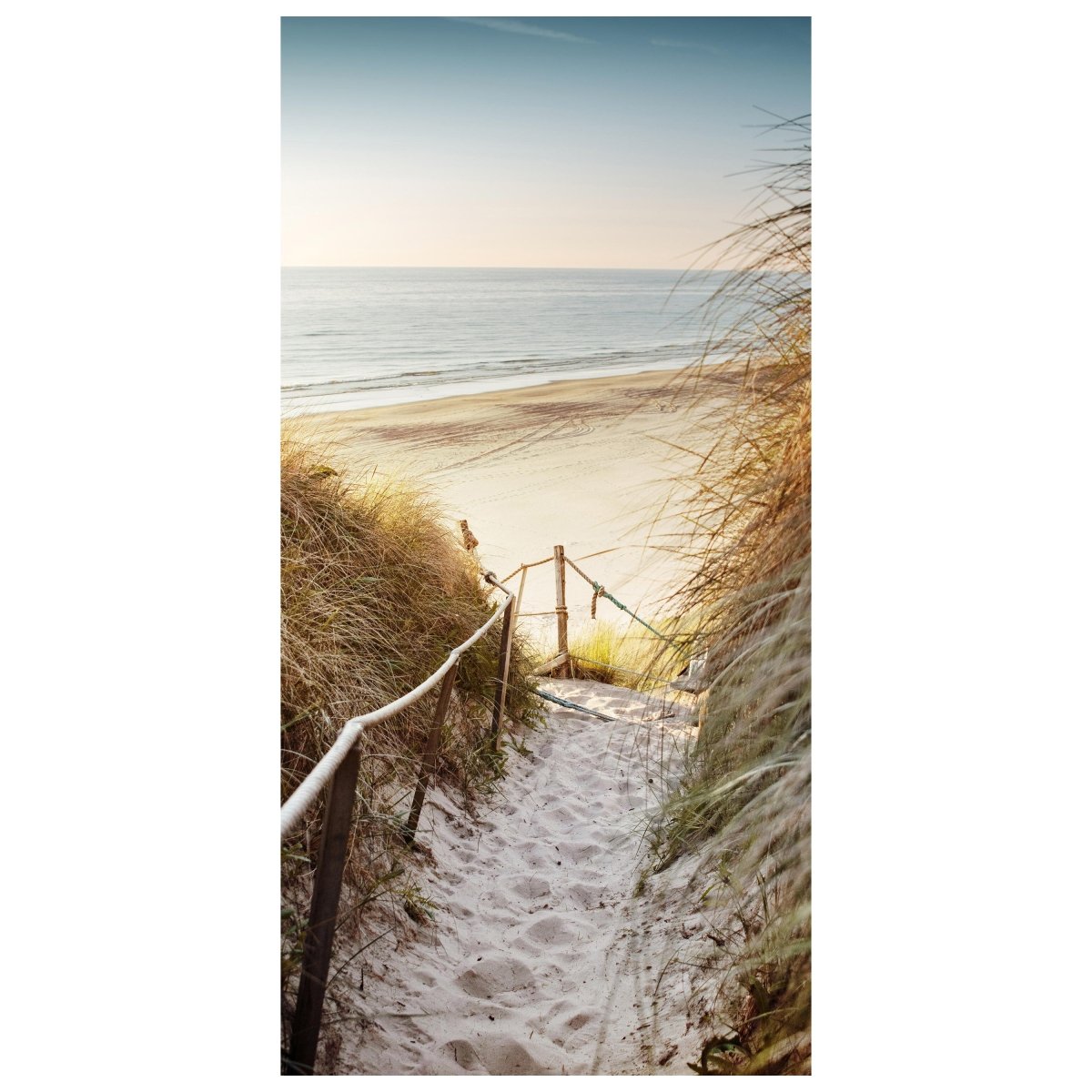 Türtapete Weg zum Strand, Seil, Meer, Düne, Schilf M1301 - Bild 2