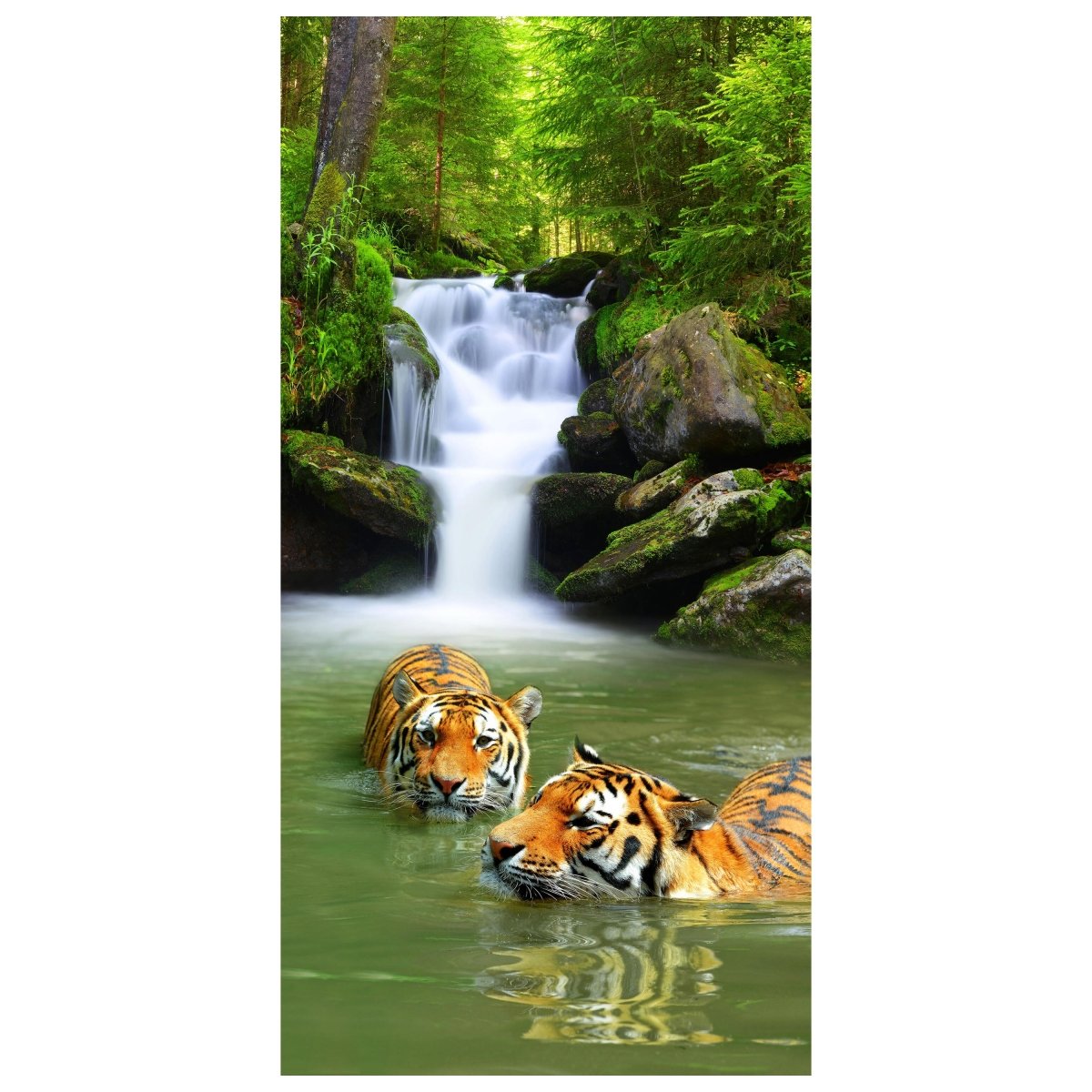 Türtapete badende Tiger, Wasserfall, Dschungel M1338 - Bild 2