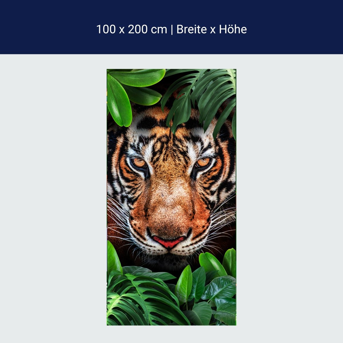 Door wallpaper tiger face jungle animal cat M1340