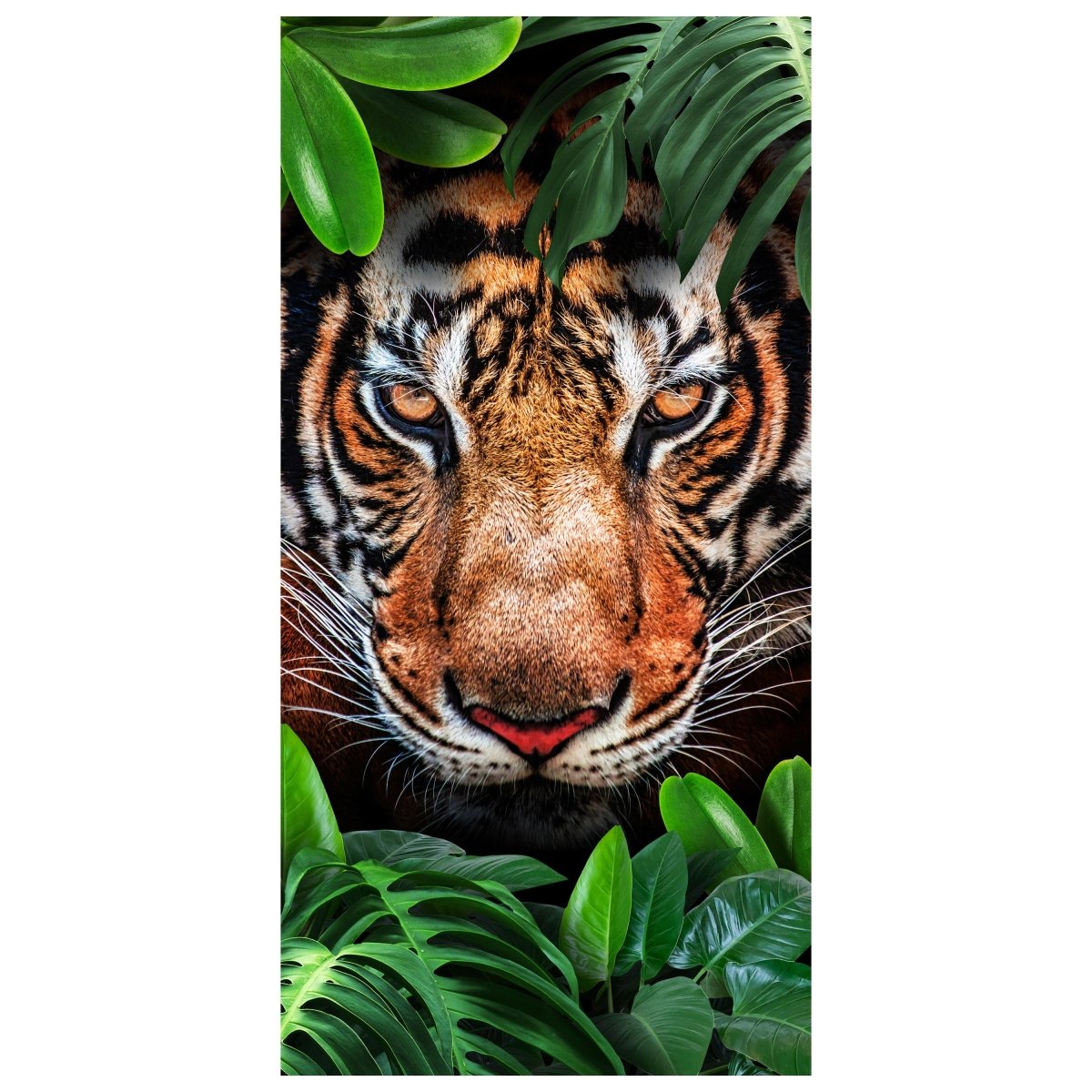 Türtapete Tiger Gesicht, Dschungel, Tier, Katze M1340 - Bild 2