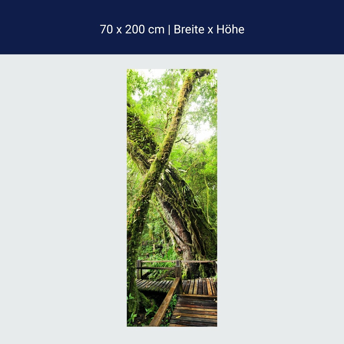 Türtapete Holzweg im Dschungel, Baum, Urwald M1341