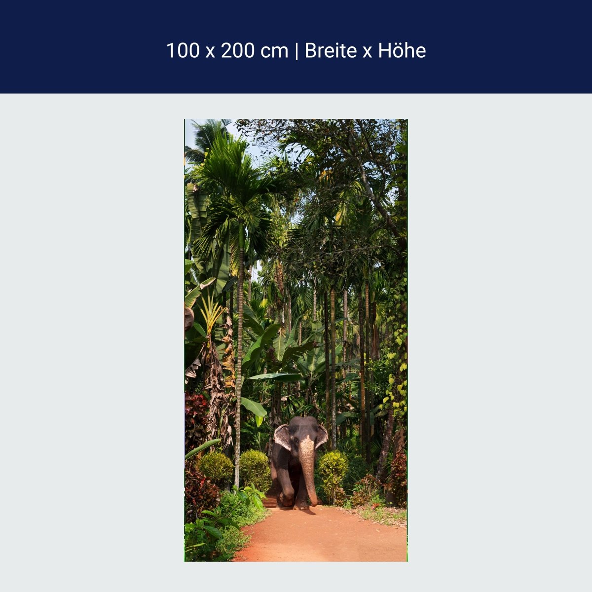 Türtapete Elefant unter Palmen, Tier, Palme, Wald M1343