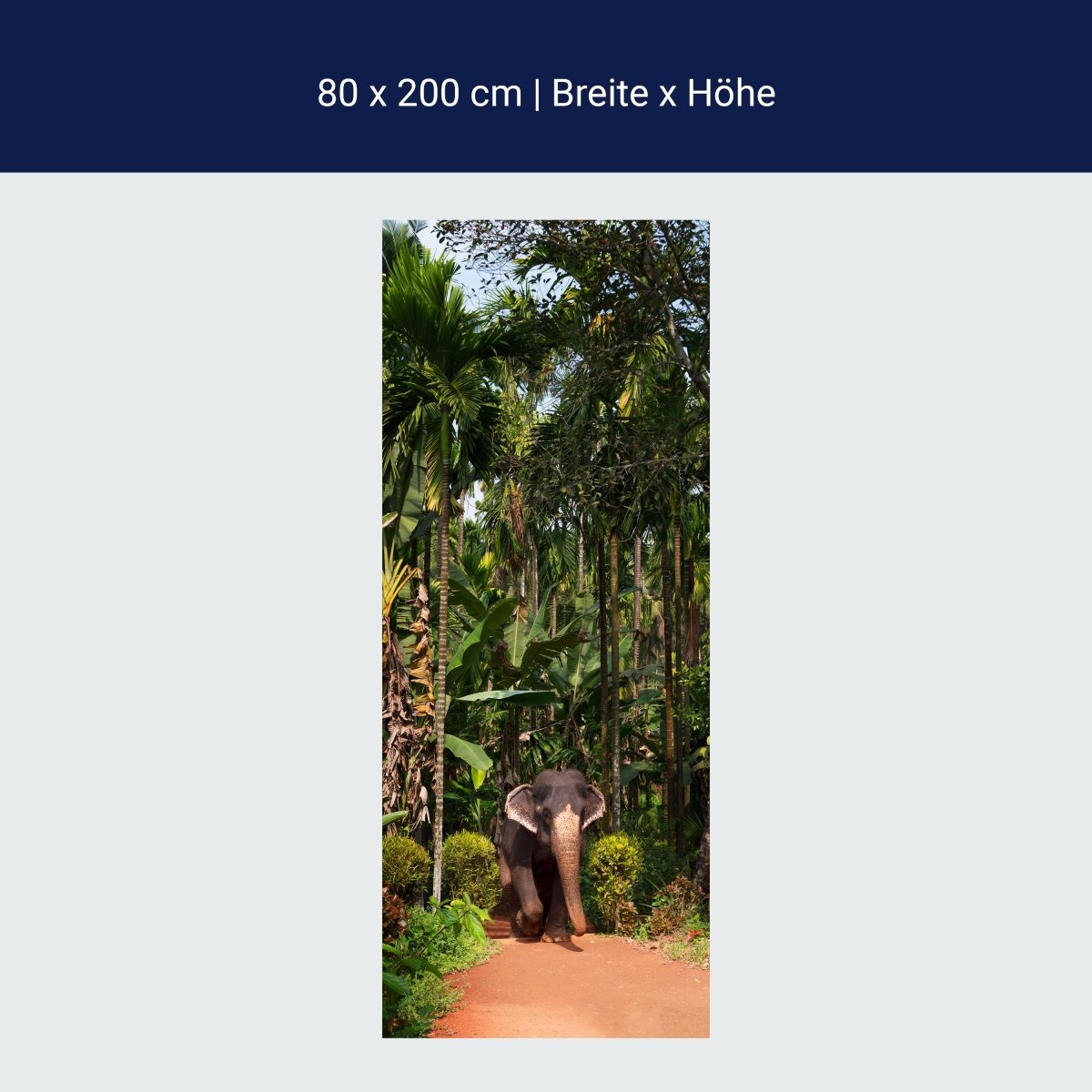 Türtapete Elefant unter Palmen, Tier, Palme, Wald M1343