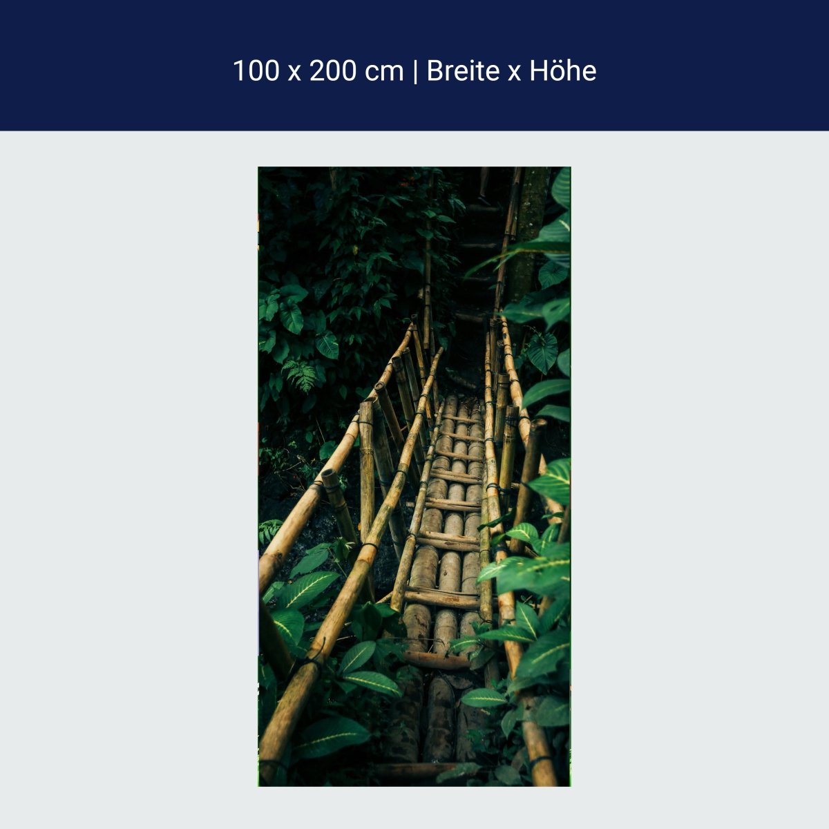 Door wallpaper bridge made of bamboo, jungle, primeval forest M1344