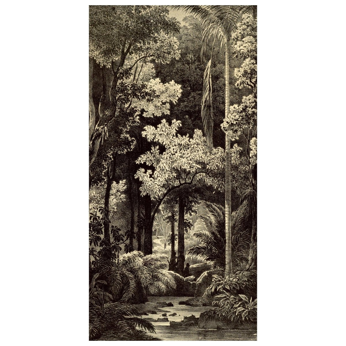 Türtapete Zeichnung Dschungel, Schwarz Weiß, Retro M1345 - Bild 2