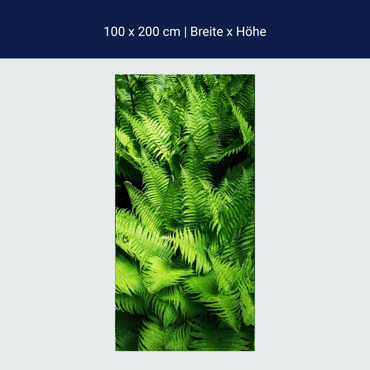 Papier peint de porte fougères, jungle, plantes, vert, jungle M1346