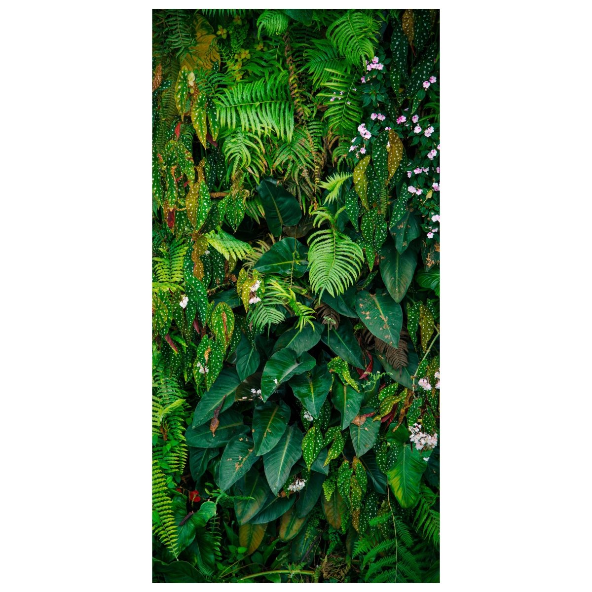 Türtapete Wand aus Blättern, Urwald, Natur, Grün M1352 - Bild 2
