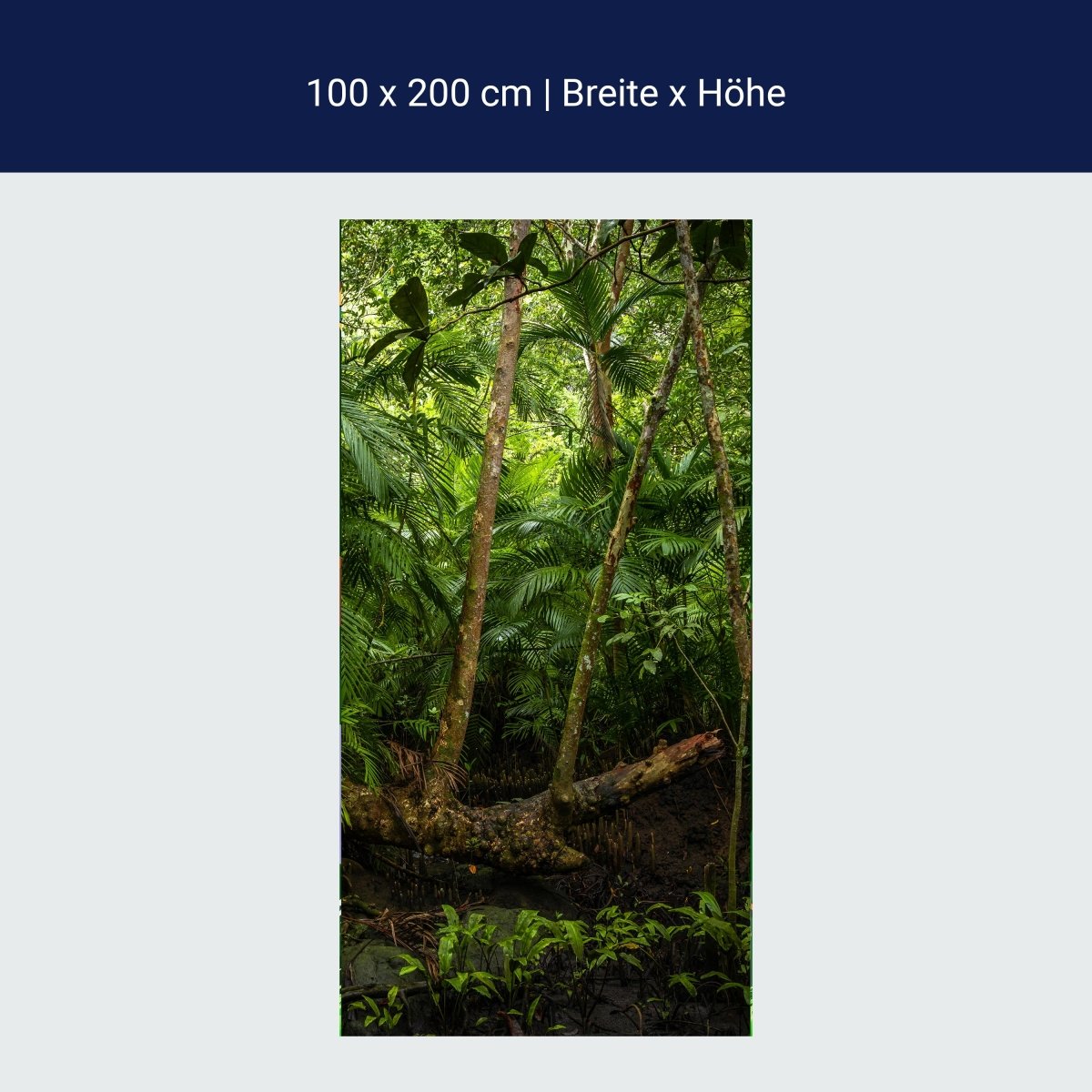 Türtapete Baum im Dschungel, Urwald, Regenwald M1353