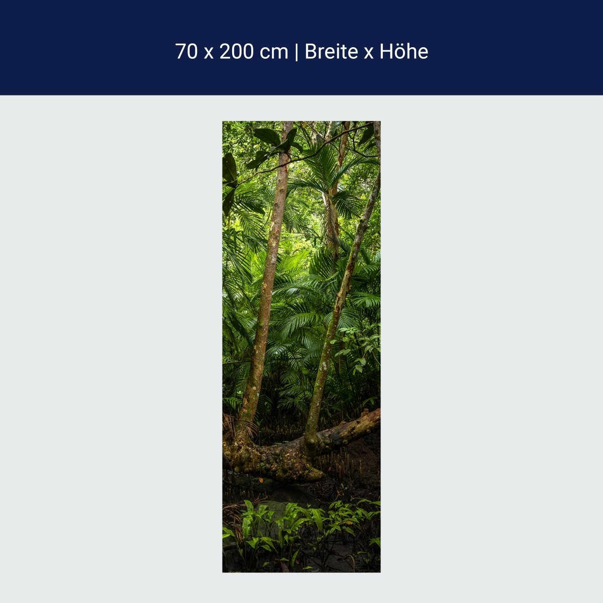 Porte papier peint arbre dans la jungle, forêt vierge, forêt tropicale M1353