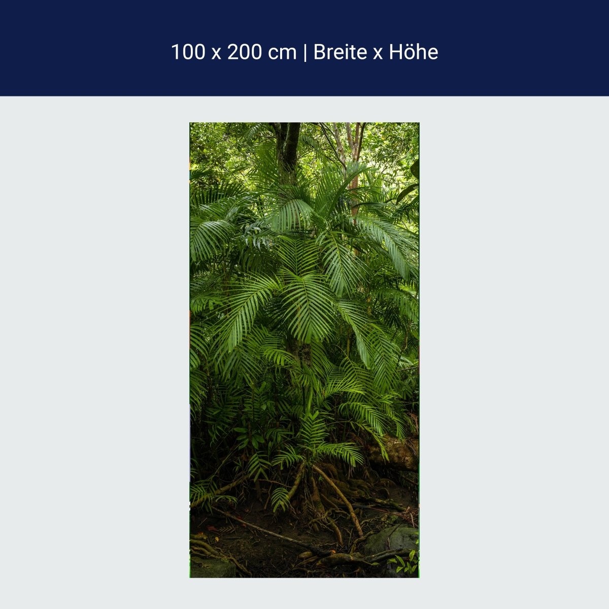 Papier peint de porte feuilles de palmier, jungle, palmier, forêt vierge M1354