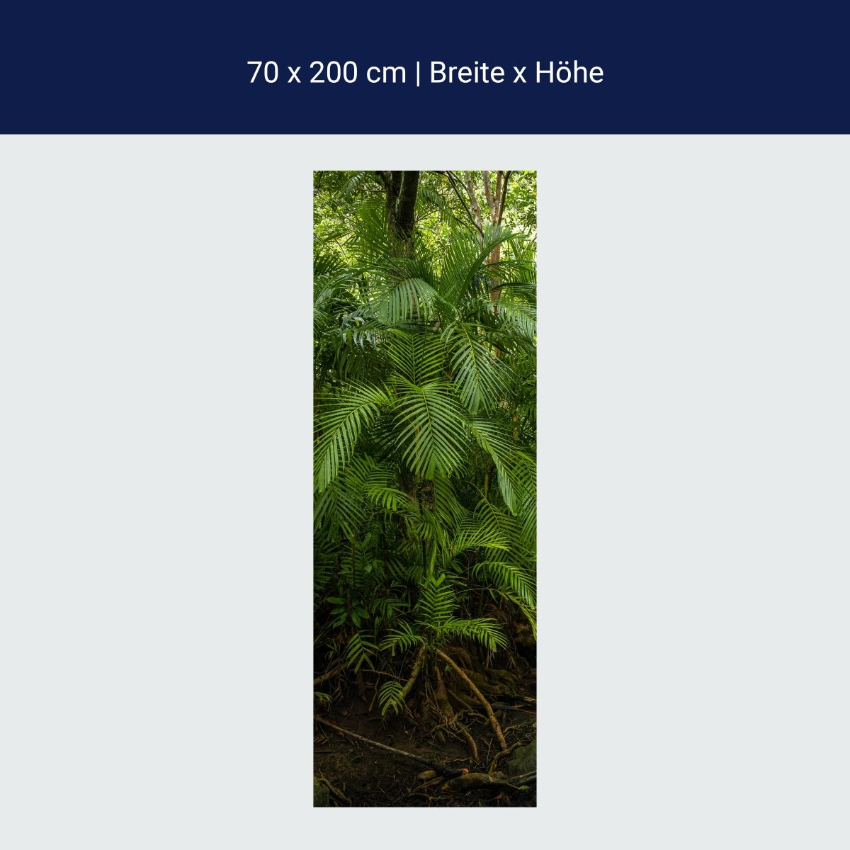 Papier peint de porte feuilles de palmier, jungle, palmier, forêt vierge M1354