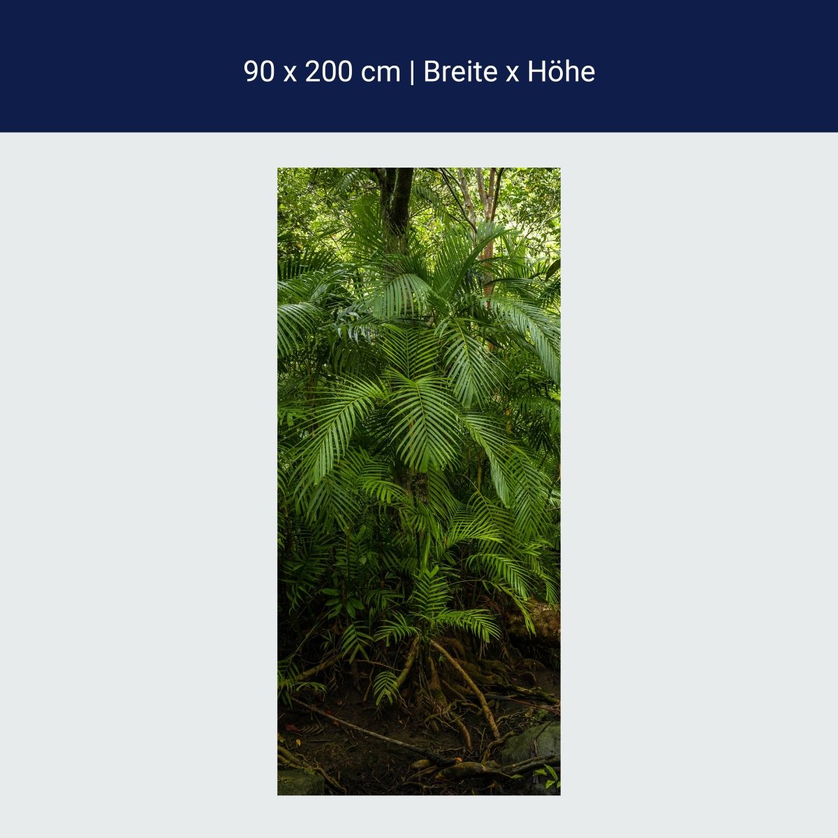 Türtapete Palmenwedel, Dschungel, Palme, Urwald M1354