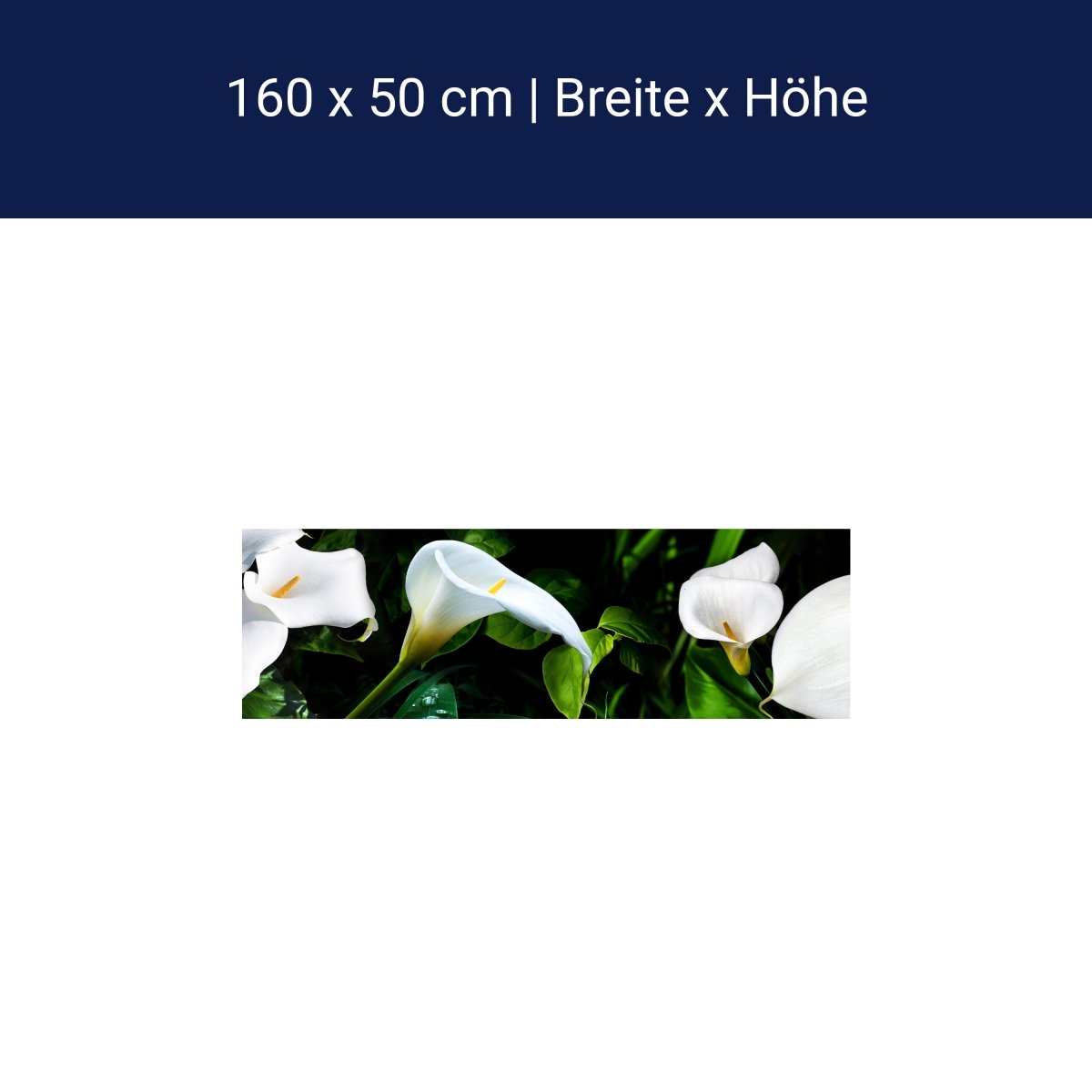 Crédence de cuisine calla penstemon tige feuilles blanches M1381