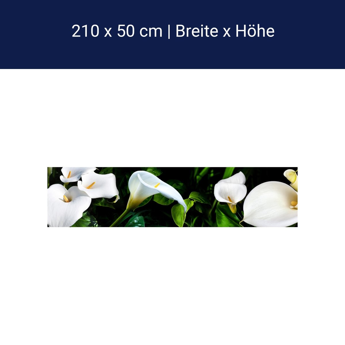 Küchenrückwand calla bartfaden weiß blätter stiel M1381