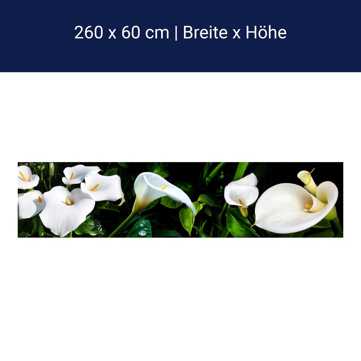 Küchenrückwand calla bartfaden weiß blätter stiel M1381