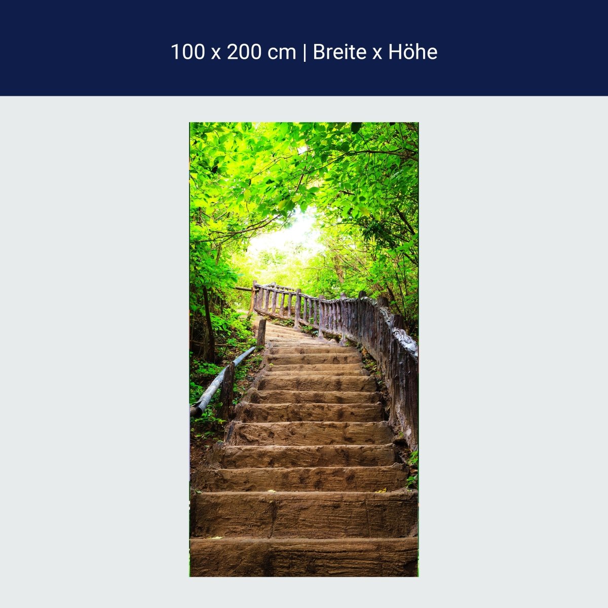 Wall mural stairs in the forest, stone stairs, wood, trees M1387